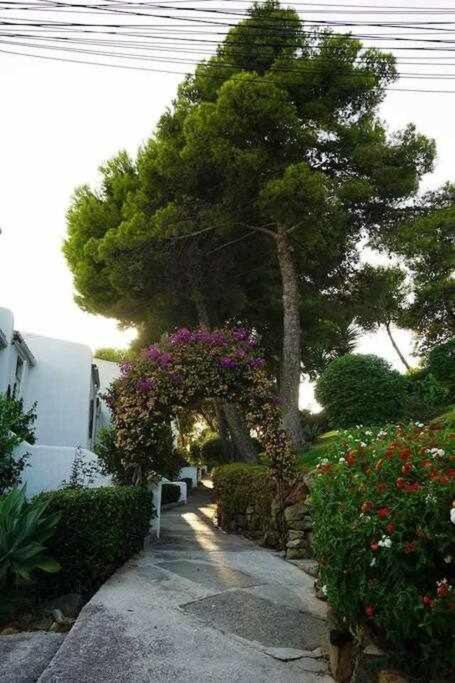 Playa Y Naturaleza Estepona Exterior photo